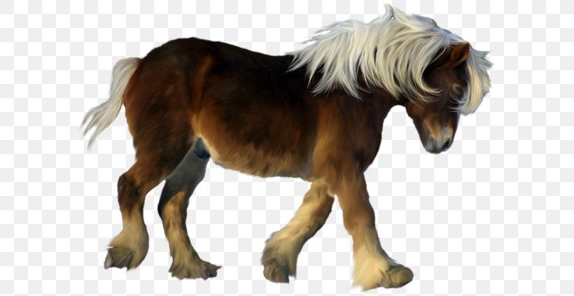 American Miniature Horse Pony Foal Clip Art, PNG, 600x423px, American Miniature Horse, Cuteness, Drawing, Foal, Fur Download Free