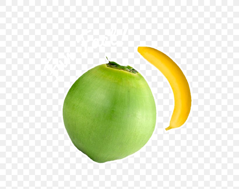 Coconut Apple Vegetable, PNG, 560x648px, Coconut, Apple, Food, Fruit, Vegetable Download Free