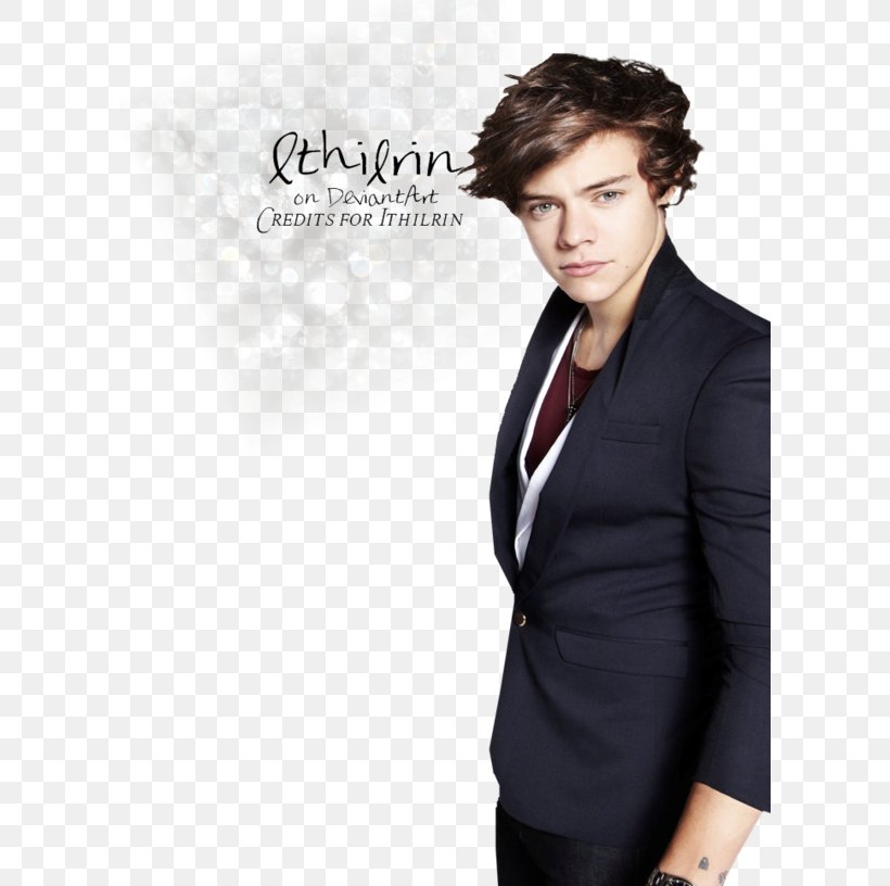 Harry Styles Take Me Home Tour One Direction Drag Me Down, PNG, 600x816px, Watercolor, Cartoon, Flower, Frame, Heart Download Free