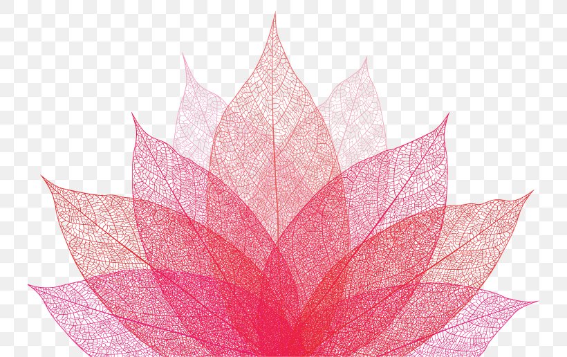 Petal Pink M Leaf Symmetry, PNG, 765x516px, Petal, Flower, Leaf, Pink, Pink M Download Free
