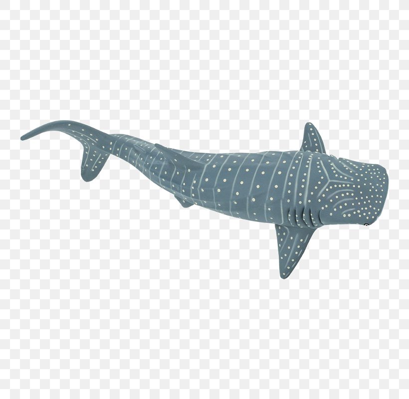 Squaliform Sharks Safari Ltd Whale Shark Animal Figurine Requiem Sharks, PNG, 800x800px, Squaliform Sharks, Animal Figure, Animal Figurine, Cartilaginous Fish, Cetacea Download Free