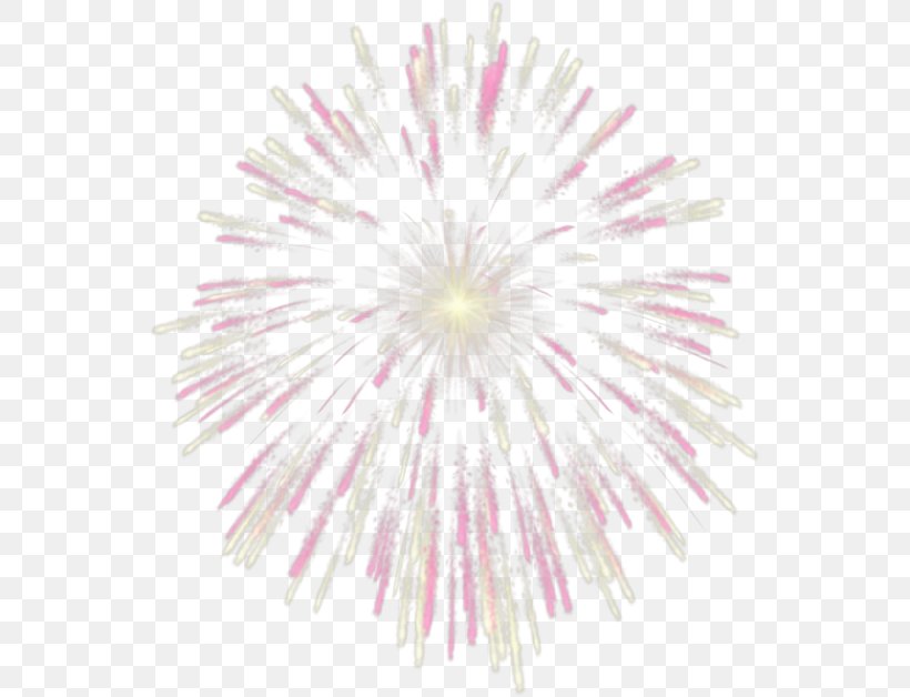 Fireworks Pink Clip Art, PNG, 550x628px, Fireworks, Blog, Color, Flower, Free Content Download Free