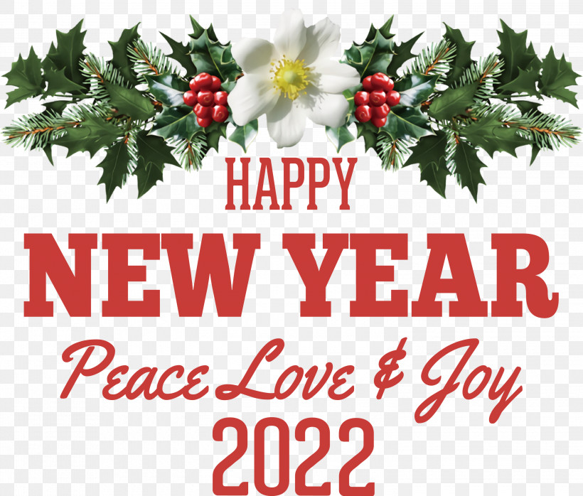 New Year 2022 Happy New Year 2022 2022, PNG, 3000x2554px, Christmas Day, Bauble, Christmas Tree, Fir, Fruit Download Free