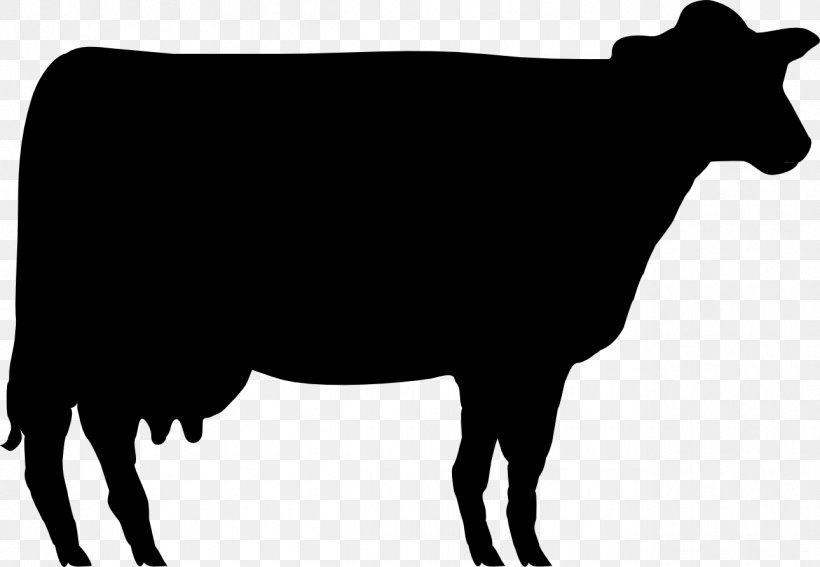 Shorthorn Angus Cattle Beef Cattle Hereford Cattle Jersey Cattle, PNG, 1290x893px, Shorthorn, Angus Cattle, Beef Cattle, Black And White, Bull Download Free