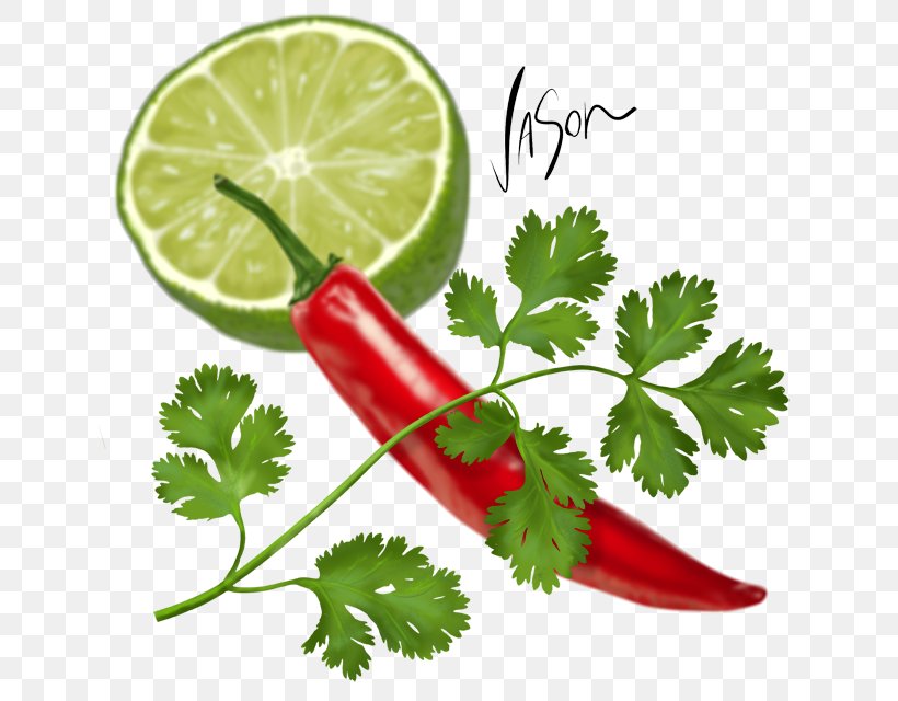 Coriander Parsley Middle Eastern Cuisine Chili Con Carne Pesto, PNG, 640x640px, Coriander, Chili Con Carne, Chili Pepper, Curry, Curry Tree Download Free