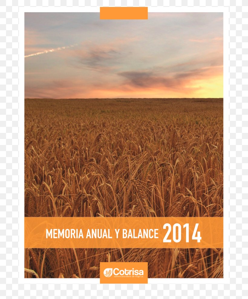 Emmer Triticale Harvest Rye Grain, PNG, 765x990px, Emmer, Agriculture, Book, Cereal, Commodity Download Free