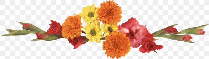 Flower Border Flower Background Floral Line, PNG, 1500x424px, Flower Border, Cut Flowers, English Marigold, Floral Line, Flower Download Free