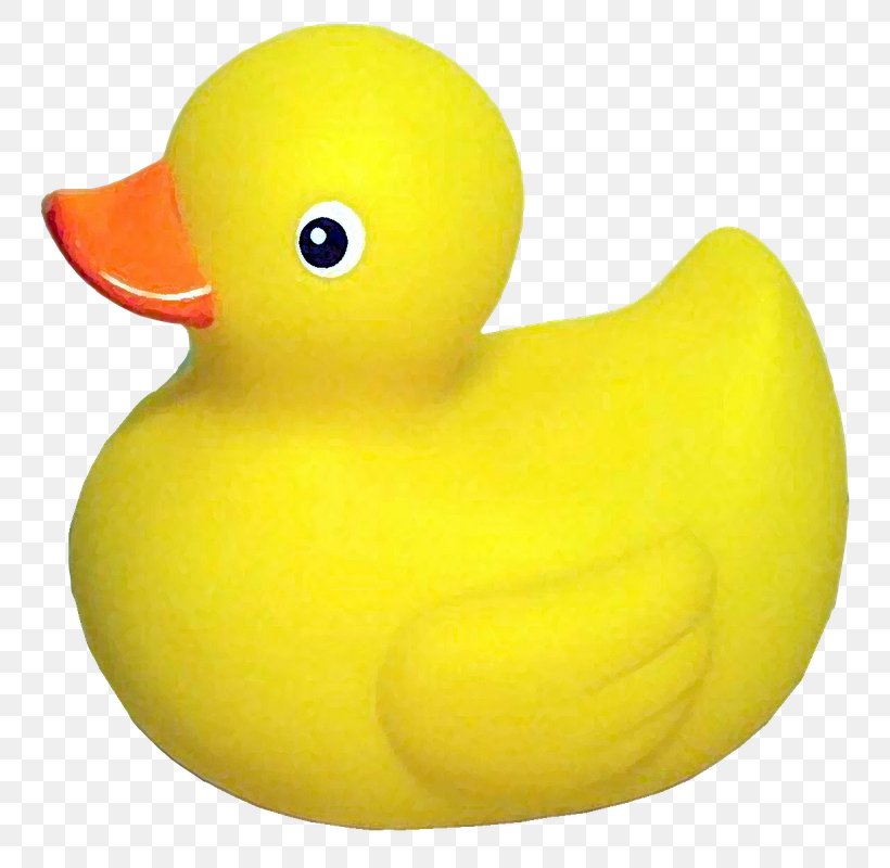 Rubber Duck Clip Art, PNG, 800x800px, Duck, Bathing, Bathtub, Beak, Bird Download Free