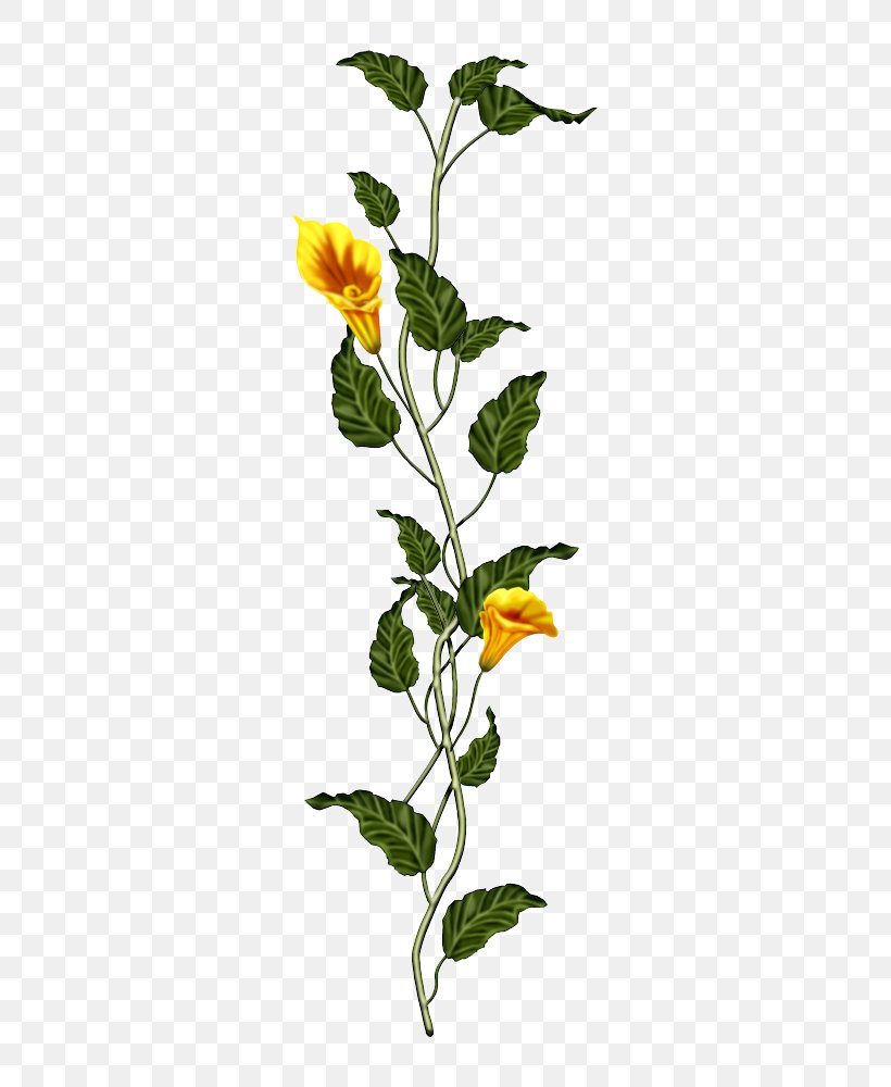 International Women's Day Woman, PNG, 309x1000px, Woman, Branch, Flora, Flower, Flowering Plant Download Free