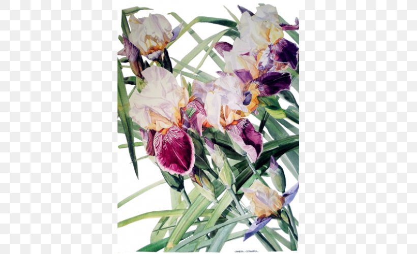 Watercolor Painting Floral Design Watercolor: Flowers Art, PNG, 500x500px, Watercolor Painting, Architecture, Art, Art Museum, Artist Download Free