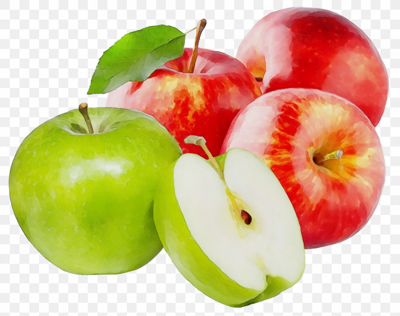 Apple Juice Apple Juice Dried Apple Fruit, PNG, 1144x903px, Watercolor, Apple, Apple Juice, Dried Apple, Fruit Download Free