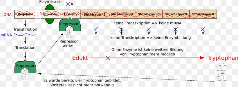 Document Line, PNG, 1942x715px, Document, Area, Diagram, Paper, Text Download Free