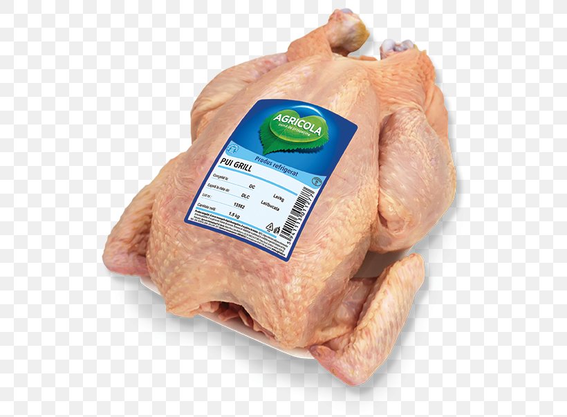 Film Poster Information Turkey Ham Foodstuffs, PNG, 556x603px, Poster, Animal Fat, Animal Source Foods, Barbecue, Bayonne Ham Download Free