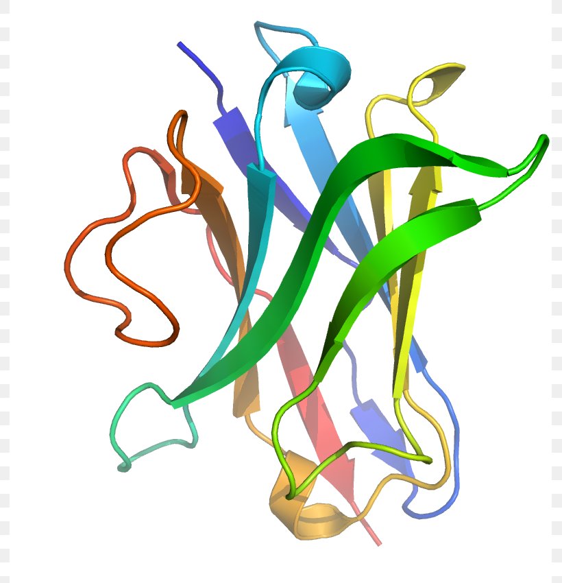 Single-domain Antibody Immunoglobulin Heavy Chain Immunoglobulin Light Chain Heavy-chain Antibody, PNG, 791x850px, Singledomain Antibody, Ablynx, Animal Figure, Antibody, Antigen Download Free