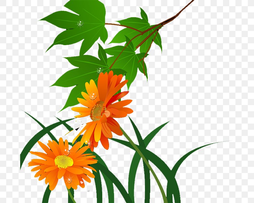 Chrysanthemum Plant Flower, PNG, 689x657px, Chrysanthemum, Animation, Branch, Chrysanths, Cut Flowers Download Free