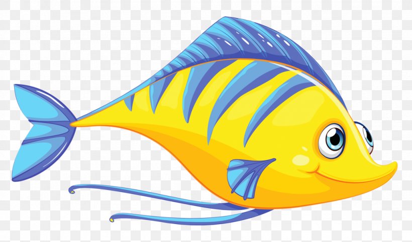 Fish Fish Pomacanthidae Yellow Pomacentridae, PNG, 1024x604px, Fish, Bonyfish, Butterflyfish, Golden Angelfish, Holacanthus Download Free