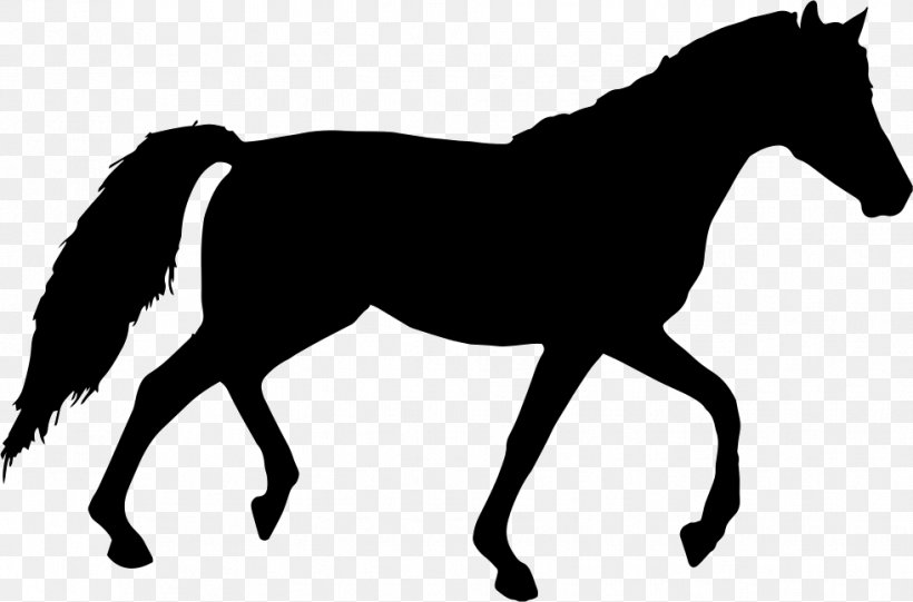 Horse Silhouette Clip Art, PNG, 981x648px, Horse, Black And White, Bridle, Collection, Colt Download Free