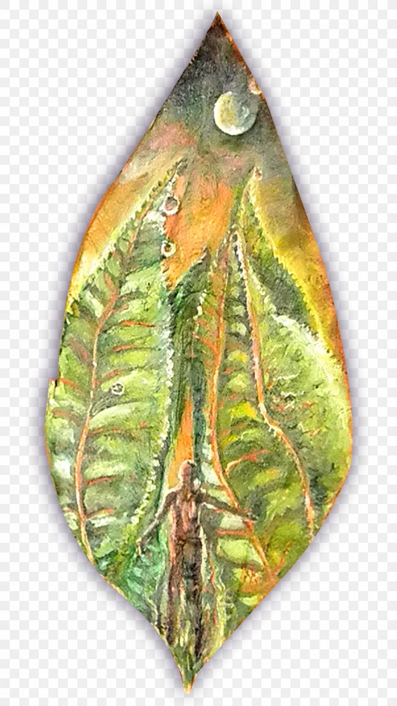 Leaf, PNG, 1080x1920px, Leaf, Organism, Plant Download Free