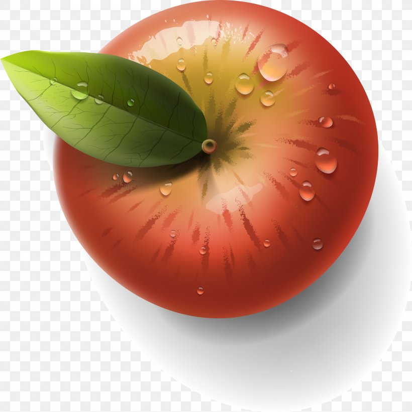 Apple Auglis Clip Art, PNG, 1518x1521px, Apple, Accessory Fruit, Auglis, Computer Software, Diet Food Download Free