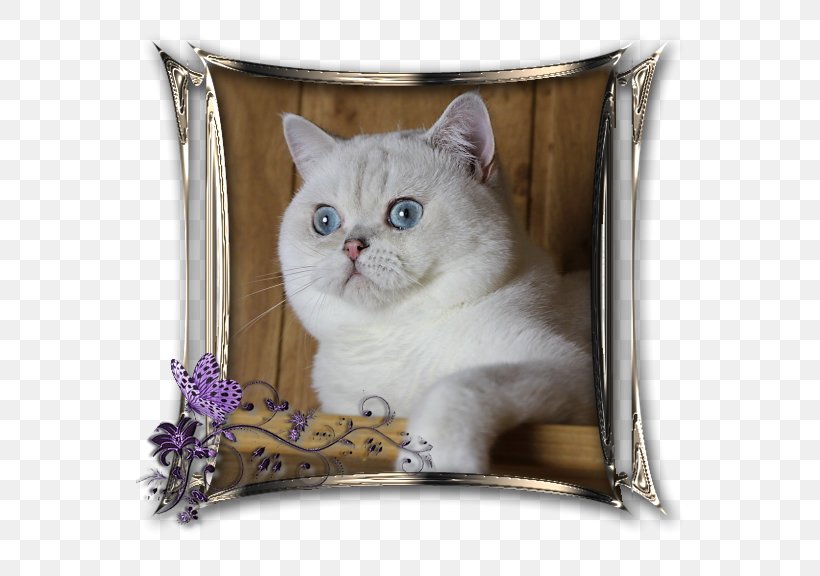 British Shorthair Domestic Short-haired Cat Whiskers Kitten Point Coloration, PNG, 576x576px, British Shorthair, Carnivoran, Cat, Cat Like Mammal, Cushion Download Free