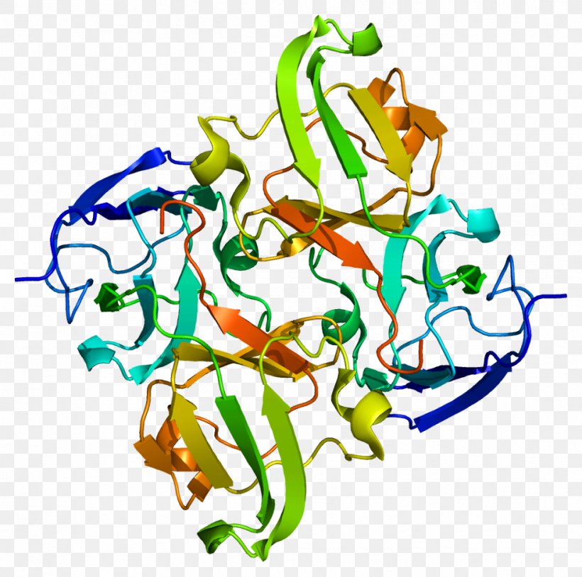CRYBB1 Photopsin Crystallin Protein Wikipedia, PNG, 983x976px, Photopsin, Area, Art, Artwork, Congenital Cataract Download Free
