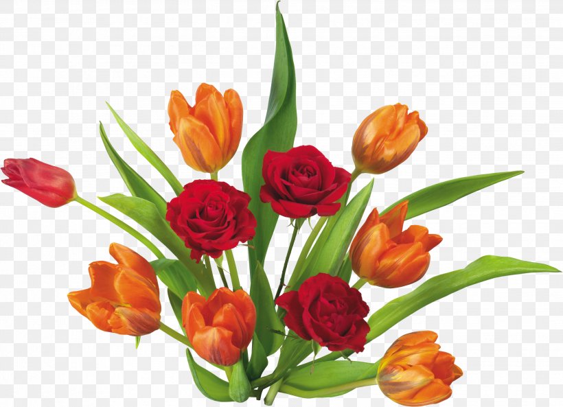 Flower Tulip Clip Art, PNG, 2701x1954px, Flower, Blog, Cut Flowers, Floral Design, Floristry Download Free