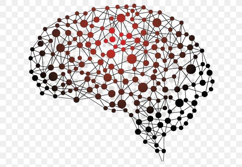 Human Brain Neuropsychology Nervous System BRAIN Initiative, PNG, 654x569px, Brain, Amygdala, Brain Initiative, Brain Injury, Central Nervous System Download Free