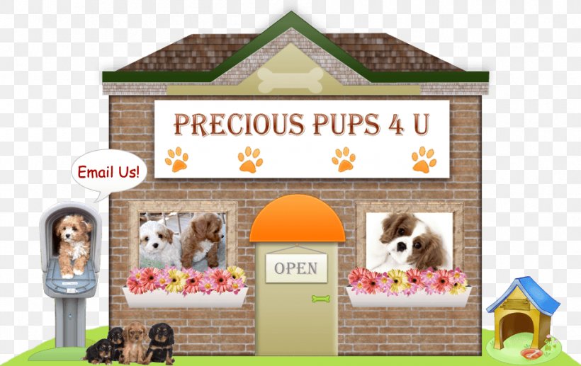 Puppy Cavapoo Maltipoo Pet Precious Pups 4 U, PNG, 950x600px, Puppy, Canadian Kennel Club, Cavapoo, Dog Training, Food Download Free