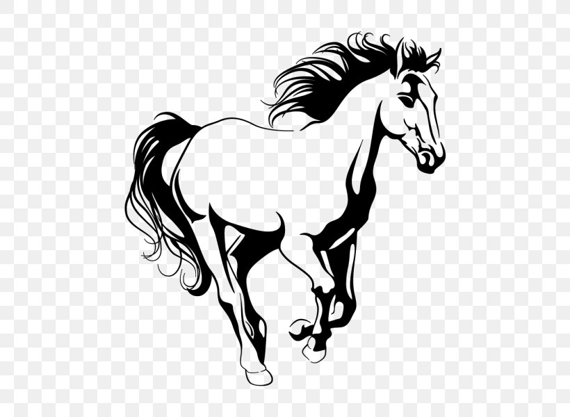 Wall Decal Arabian Horse Horse Training Sticker, PNG, 600x600px, Wall Decal, Arabian Horse, Art, Artwork, Black And White Download Free