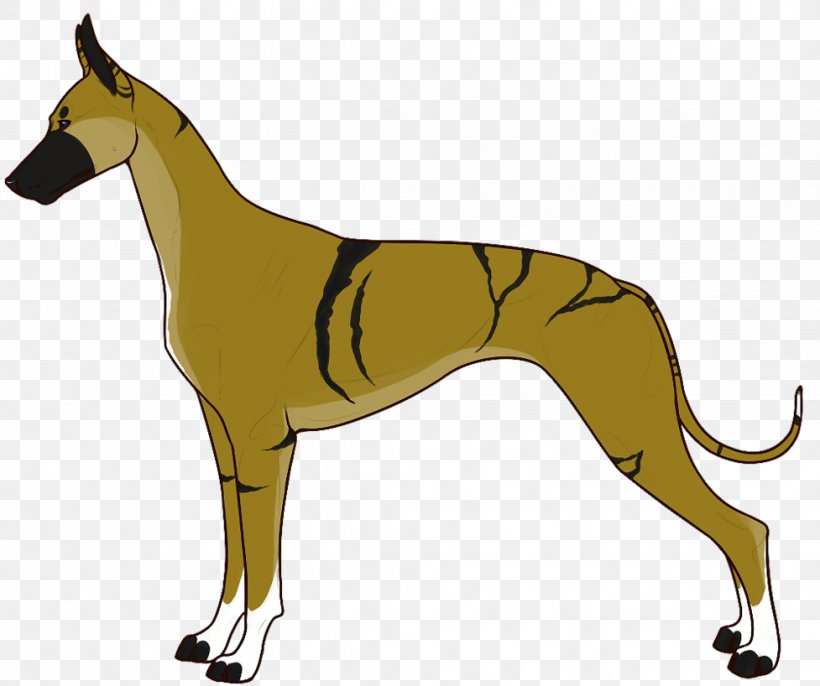 Whippet Italian Greyhound Spanish Greyhound Sloughi, PNG, 977x818px, Whippet, Animal Sports, Azawakh, Borzoi, Carnivoran Download Free