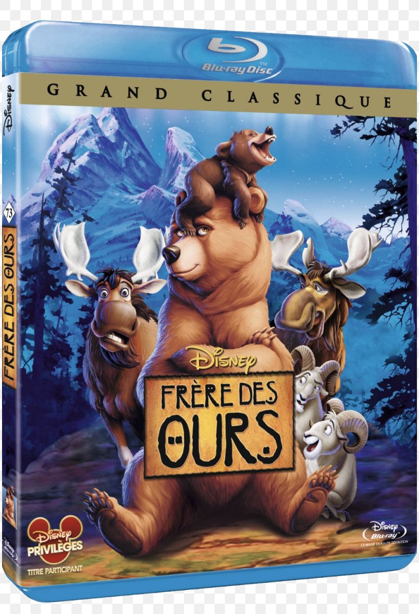 Blu-ray Disc DVD Brother Bear Film Animation, PNG, 812x1200px, Bluray Disc, Adventure Film, Animation, Brother Bear, Brother Bear 2 Download Free