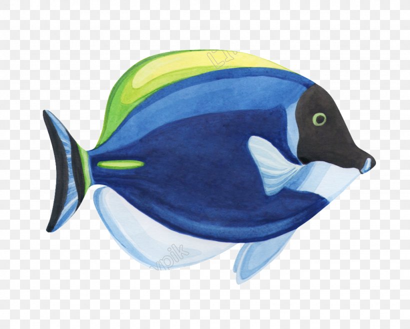 Goldfish Watercolor Painting Drawing Graphics, PNG, 1024x824px, Fish, Aquarium, Art, Beak, Coral Download Free