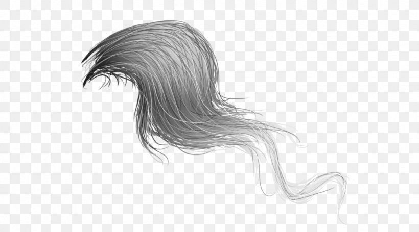 Horse Hair Mane Tail Drawing, PNG, 1024x569px, Horse, Arm, Art, Artwork, Black And White Download Free