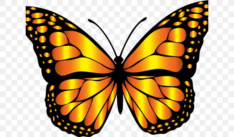 Monarch Butterfly Clip Art Pterygota Brush-footed Butterflies, PNG, 640x480px, Monarch Butterfly, Arthropod, Brushfooted Butterflies, Brushfooted Butterfly, Butterflies Download Free