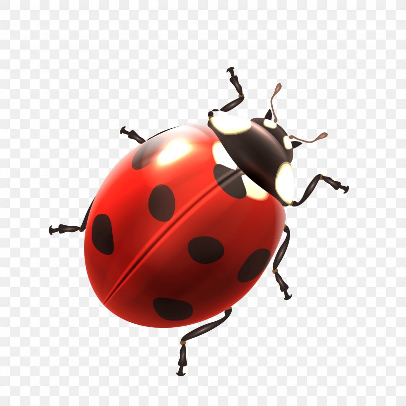 Ladybird Beetle Image Clip Art Download, PNG, 2048x2048px, Ladybird Beetle, April 1, Arthropod, Beetle, Birthday Download Free
