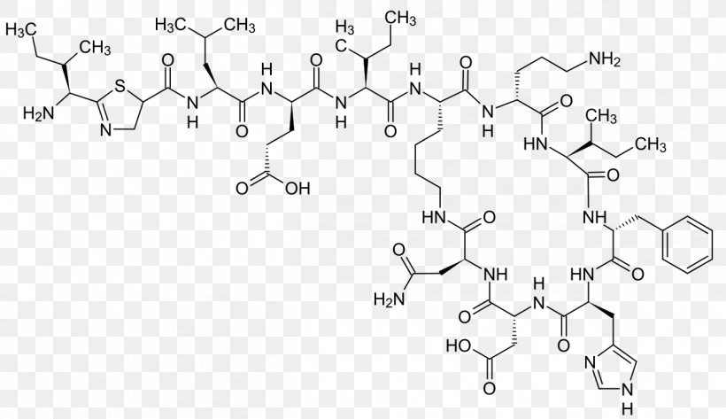 Bacitracin Cyclic Peptide Structure Cyclosporine, PNG, 1258x726px, Bacitracin, Amino Acid, Area, Author, Auto Part Download Free