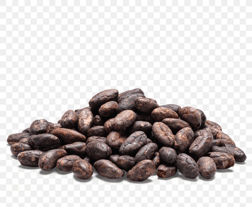 Cocoa Bean Hot Chocolate Ingredient Tea, PNG, 800x673px, Cocoa Bean, Bean, Caffeine, Candy, Chocolate Download Free