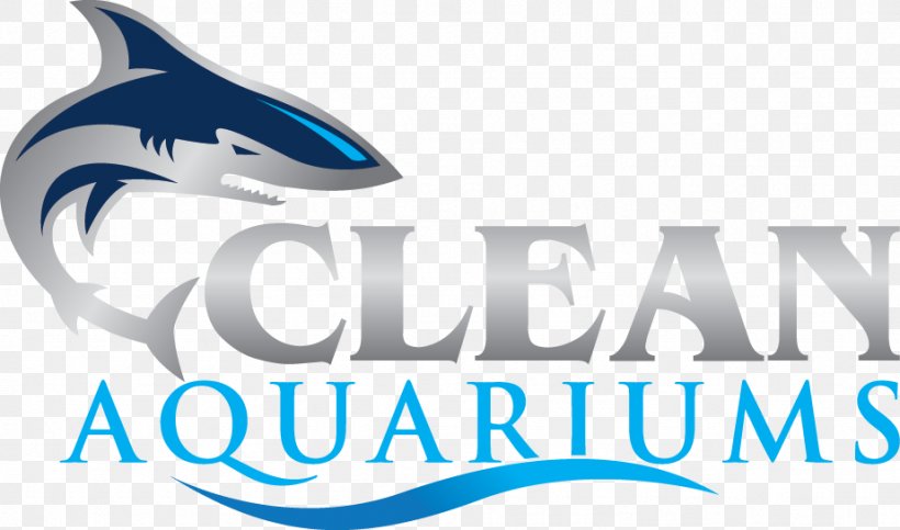 Public Aquarium Rainbowfish Tetra Suckermouth Catfish, PNG, 923x544px, Aquarium, Blue, Brand, Cichlid, Cleaning Download Free