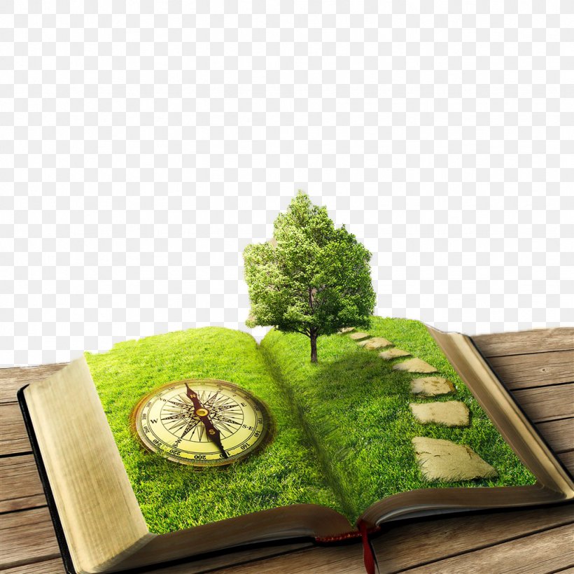 Sons And Lovers Stock Photography Book Tree, PNG, 1024x1024px, Stock Photography, Book, Depositphotos, Digital Image, Grass Download Free