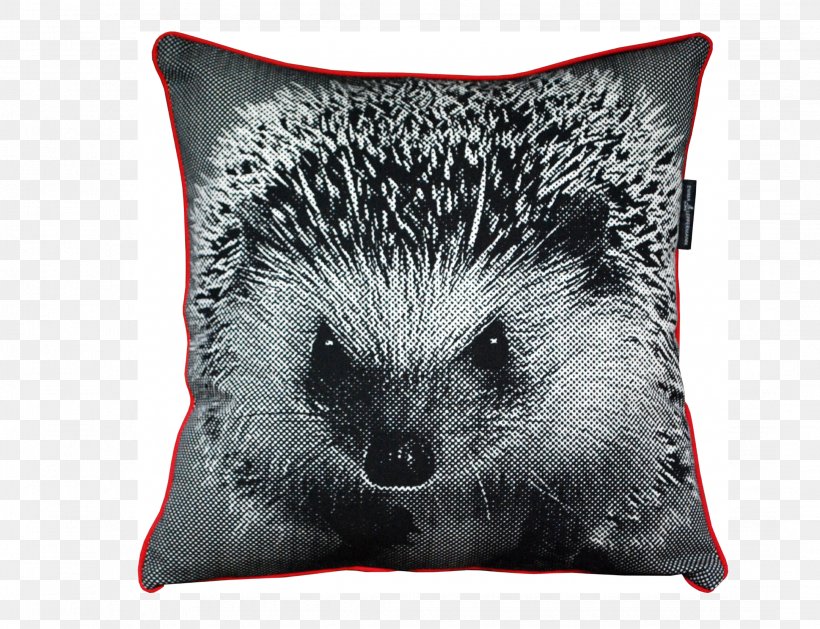 Domesticated Hedgehog Throw Pillows Hilarious Hedgehogs, PNG, 2162x1660px, Domesticated Hedgehog, Book, Cushion, Domestication, Erinaceidae Download Free
