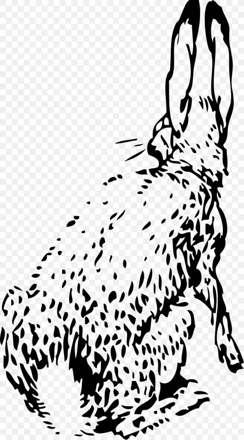 European Hare White Rabbit Holland Lop Clip Art, PNG, 958x1727px, European Hare, Artwork, Big Cats, Black, Black And White Download Free