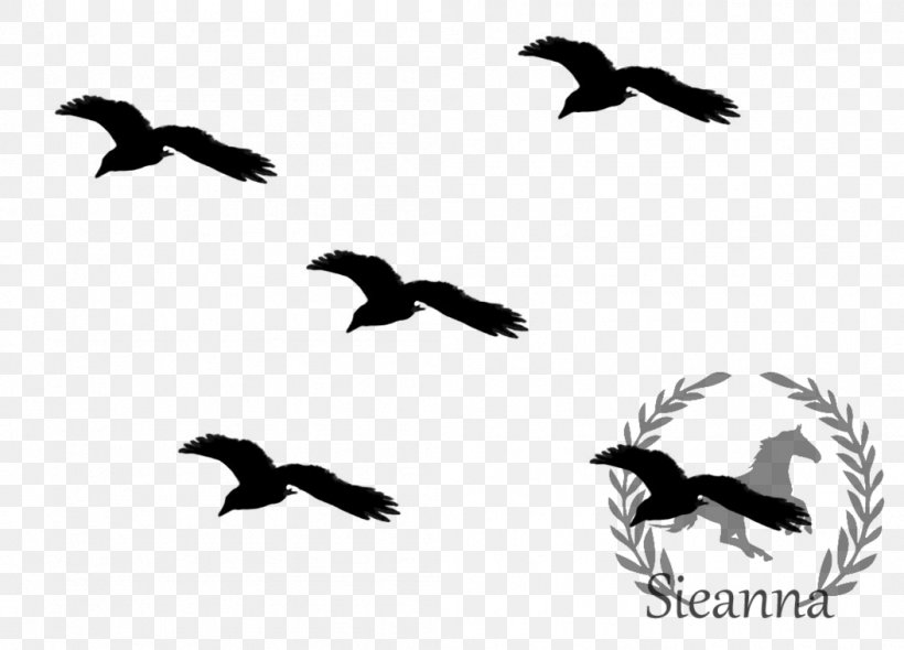 Bird Migration Bird Flight Flock, PNG, 1053x758px, Bird, Animal Migration, Beak, Bird Flight, Bird Migration Download Free