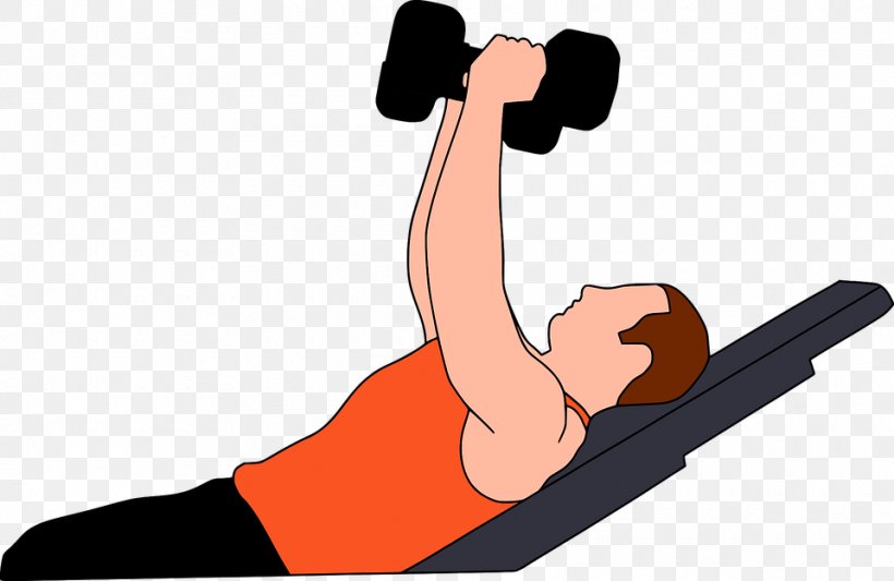Exercise Clip Art, PNG, 960x624px, Exercise, Arm, Dumbbell, Exercise Equipment, Fitness Centre Download Free