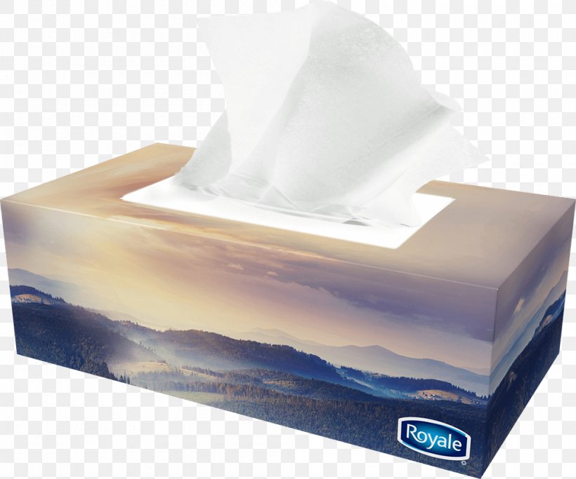 Tissue Paper Handkerchief Facial Tissues Ply, PNG, 1000x833px, Paper, Bonprix, Box, Carton, Facial Tissues Download Free