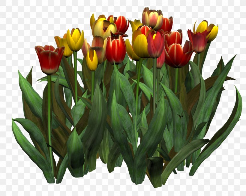 Tulip Flower Painting Clip Art, PNG, 1263x1011px, Tulip, Autumn, Cut Flowers, Floral Design, Floristry Download Free
