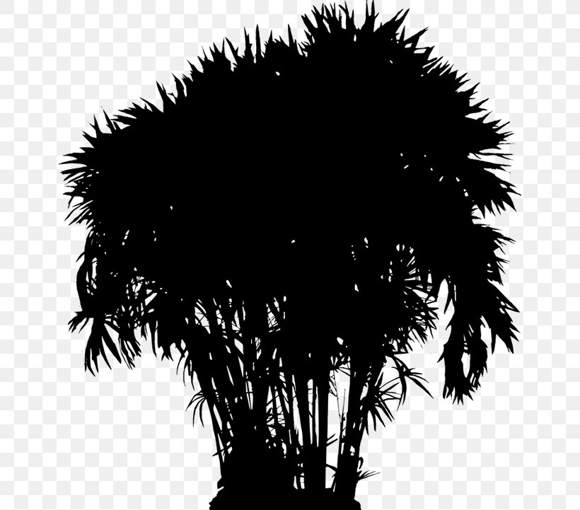Asian Palmyra Palm Date Palm Palm Trees Silhouette Sky, PNG, 654x721px, Asian Palmyra Palm, Arecales, Black, Black M, Blackandwhite Download Free