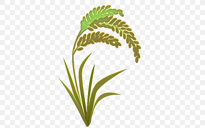 Green Grass Background, PNG, 512x512px, Palm Trees, Flower, Flowerpot, Grass, Grasses Download Free