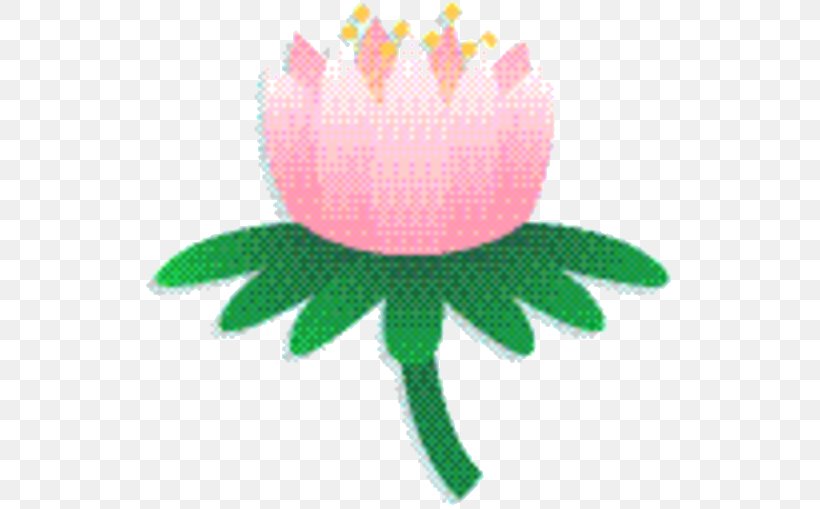 Pink Flower Cartoon, PNG, 540x509px, Petal, Cut Flowers, Flower, Green, Lotus Family Download Free