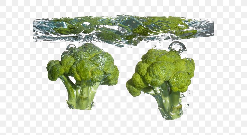 Broccoli Cauliflower Food Cabbage Vegetable, PNG, 600x448px, Watercolor, Cartoon, Flower, Frame, Heart Download Free
