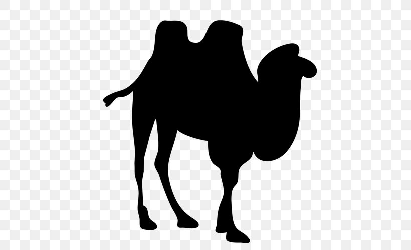 Dromedary Bactrian Camel Silhouette Clip Art, PNG, 500x500px, Dromedary, Arabian Camel, Bactrian Camel, Black And White, Camel Download Free